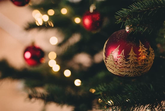 Celebrate in Style: Not-to-Miss Events and Festivals in Sealy