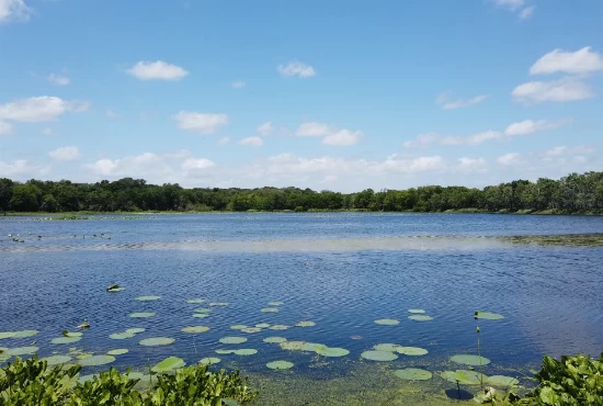 Discovering Sealy, TX: A Journey into its Charming Vibe and Weather Patterns